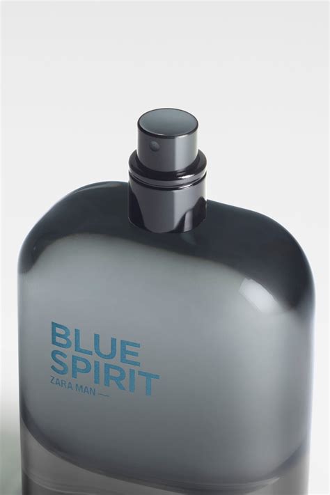 blue spirit zara dupe.